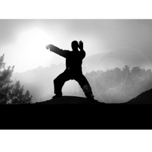 cours-de-qi-gong