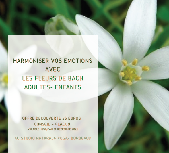 Fleurs de Bach